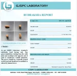 1 Mukhi lab Certificate