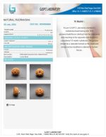 10 Mukhi Certificate