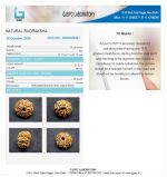 10 Mukhi Certificate