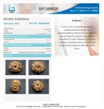 10 Mukhi Certificate