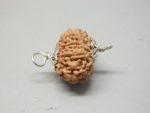 10 Mukhi Rudraksha