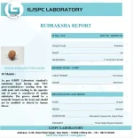 10 Mukhi lab Certificate