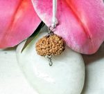 10 Mukhi Rudraksha