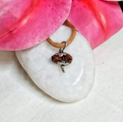 Eighteen Mukhi Java Indonesia