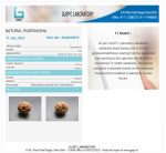 11 Mukhi Certificate