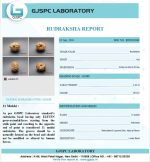 11 Mukhi Certificate