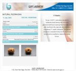 11 Mukhi Certificate