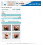 11 Mukhi Rudraksha Certificate