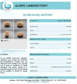 11 Mukhi lab Certificate