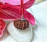 Eleven Mukhi Nepal