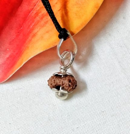 17 Mukhi Java Indonesia