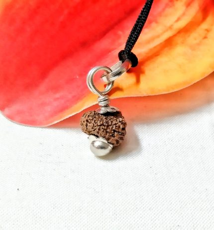 17 Mukhi Java Indonesia