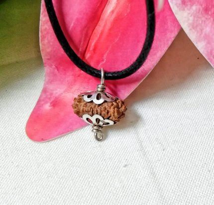 Seventeen Mukhi Java Indonesia