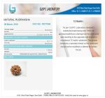 12 Mukhi Certificate