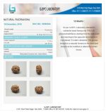 12 Mukhi Certificate