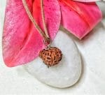 Twelve Mukhi Java Indonesia