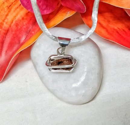 Eighteen Mukhi Java Indonesia