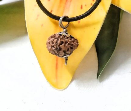 17 Mukhi Java Indonesia