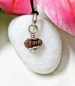 17 Mukhi Java Indonesia