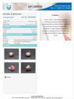 13 Mukhi Certificate