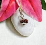 18 Mukhi Java Indonesia