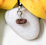 17 Mukhi Java Indonesia