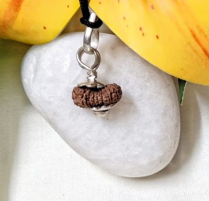 17 Mukhi Java Indonesia