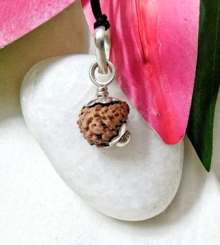 Seventeen Mukhi Java Indonesia