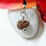 Seventeen Mukhi Java Indonesia