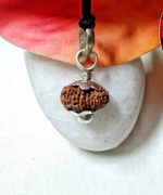 Seventeen Mukhi Java Indonesia