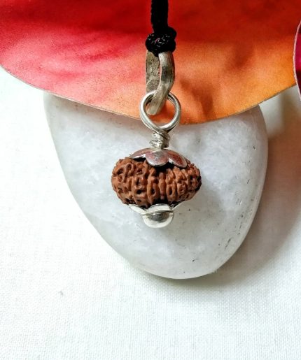 Seventeen Mukhi Java Indonesia