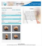 14 Mukhi Certificate