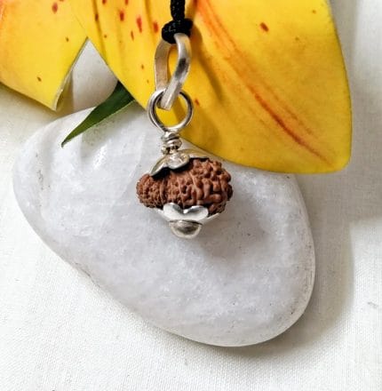 Seventeen Mukhi Java Indonesia