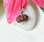 14 Mukhi Certificate