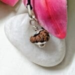 Seventeen Mukhi Java Indonesia