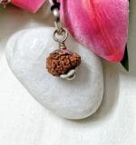 Seventeen Mukhi Java Indonesia