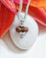 Eighteen Mukhi Java Indonesia