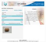 15 Mukhi Rudraksha