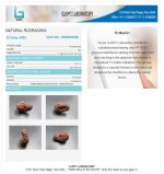 15 Mukhi Certificate