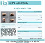 15 Mukhi lab Certificate