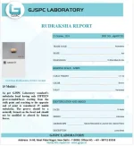 15 Mukhi lab Certificate