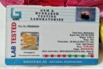 15 Mukhi Java Indonesia