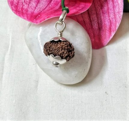 15 Mukhi Java Indonesia