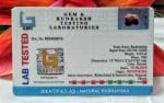 15 Mukhi Java Indonesia