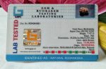 15 Mukhi Java Indonesia