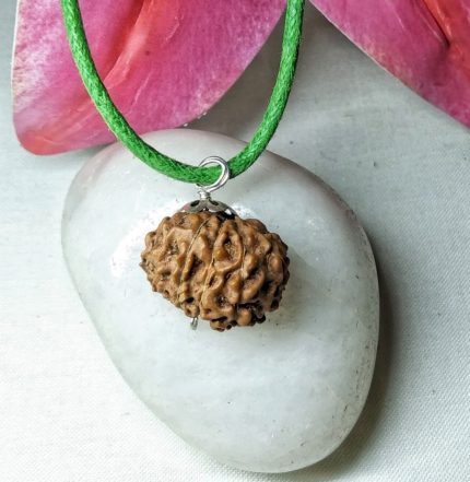 15 Mukhi Certificate