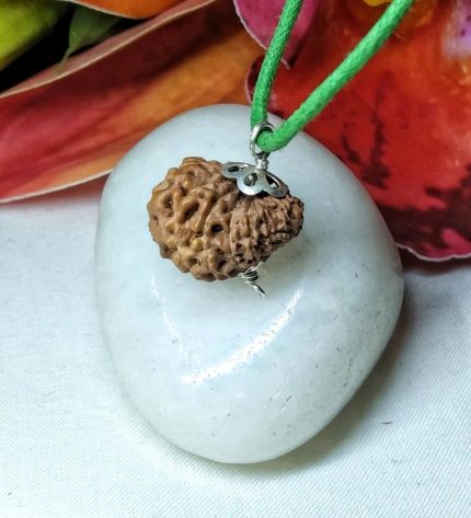 15 Mukhi Rudraksha