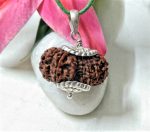 15 Mukhi Rudraksha