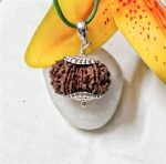 15 Mukhi Rudraksha