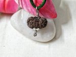 15 Mukhi Java Indonesia